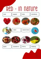 Vorschau - Arbeitsblätter - Colors and where to find them...Red! - Seite 3