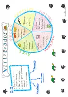 Vista previa - Refuerzo / NEE / Materiales de apoyo - ANIMALES - página 3