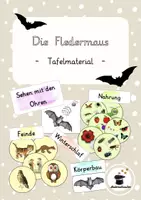 Vorschau - Poster - Fledermaus – Tafelmaterial & Poster | Sachunterricht Grundschule Klasse 3–4 - Deckblatt