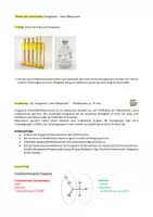 Vorschau - Stundenentwürfe - Essigsäure - eine Alkansäure - Seite 1