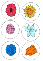 anteprima - Giochi - Mille colori dei fiori! Gioco di flessibilità cognitiva - Pagina di copertina