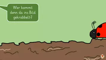 Vorschau - Mal- und Bastelvorlagen - Verschiedene Marienkäfer zeichnen - Kunst 1 2 - Seite 1