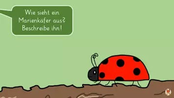 Vorschau - Mal- und Bastelvorlagen - Verschiedene Marienkäfer zeichnen - Kunst 1 2 - Seite 2