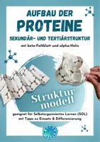 Vorschau - Mal- und Bastelvorlagen - Aufbau der Proteine: Sekundärstruktur & Tertiärstruktur von Proteinen im Modell (Protein Struktur) - Deckblatt