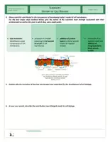 Vorschau - Arbeitsblätter - Cells - History of Cell Biology - Seite 3