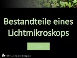 Vorschau - Präsentationen/Tafelbilder - Zellen - Bestandteile eines Lichtmikroskops - Seite 1