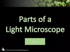 Vorschau - Präsentationen/Tafelbilder - Cells - Parts of a Light Microscope - Seite 1