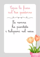 anteprima - Altro tipo di materiale - Frasi in corsivo da copiare sul quaderno - Pagina 1