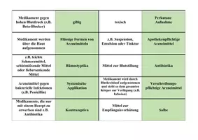 Vorschau - Spiele - Domino Arzneimittellehre (MFA und ZFA) - Seite 1