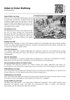 Vorschau - Arbeitsblätter - Italien im Ersten Weltkrieg - Infotext und Übungen - Deckblatt