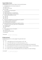 Vorschau - Arbeitsblätter - Gewaltherrschaft Stalins - Infotext und Übungen - Seite 3