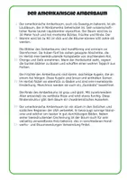 Vorschau - Arbeitsblätter - Infotexte Bäume - Seite 2
