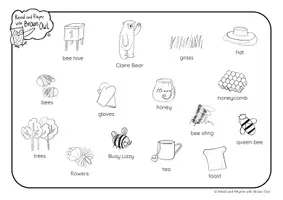 anteprima - Esercizi - Brown Owl and the Bee Hive - PICTURE DICTIONARY WORDMATS - Pagina 2