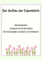 Vorschau - Arbeitsblätter - Materialpaket Frühblüher/Blütenpflanzenaufbau - Deckblatt
