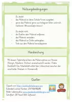Vorschau - Arbeitsblätter - Lebenszyklus Ameise (Tafelmaterial) - Seite 1