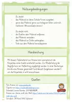 Vorschau - Arbeitsblätter - Die Ameise (Körperbau) Tafelmaterial & Hefteintrag - Seite 1