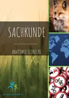 Vorschau - Arbeitsblätter - Rund um Schnecken Texte Aufgaben Lösungen - Deckblatt