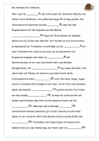 Vorschau - Arbeitsblätter - Rund um Schnecken Texte Aufgaben Lösungen - Seite 3