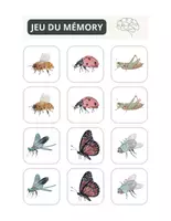 Aperçu - Préparation de séance / Séance complète - Insectes Jeu de mémoire Cartes +6 fiches d'activités - Page de couverture