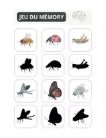 Aperçu - Préparation de séance / Séance complète - Insectes Jeu de mémoire Cartes +6 fiches d'activités - Page 3