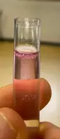 anteprima - Esperimenti - Relazioni di laboratorio macromolecole biologiche_A028_A050 - Pagina 2