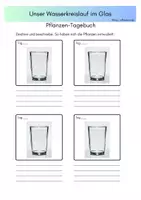 Vorschau - Arbeitsblätter - Pflanzentagebuch Wasserkreislauf im Glas - Seite 1