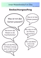 Vorschau - Arbeitsblätter - Pflanzentagebuch Wasserkreislauf im Glas - Seite 3