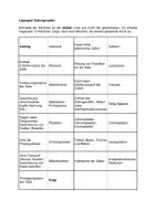 Vorschau - Arbeitsblätter - Domino zu den Zellorganellen - Deckblatt