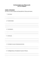 Vorschau - Arbeitsblätter - Bau und Funktion der Pflanzenzelle – Zellorganellen und ihre Funktion - Deckblatt