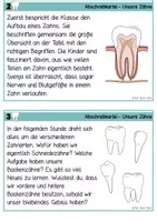 Vorschau - Arbeitsblätter - Zähne - Lese- & Abschreibkartei Druckschrift - Seite 2