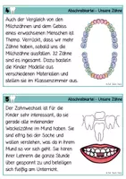 Vorschau - Arbeitsblätter - Zähne - Lese- & Abschreibkartei Druckschrift - Seite 3