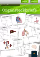 Vorschau - Arbeitsblätter - Organe des Menschen - Steckbriefe - Deckblatt