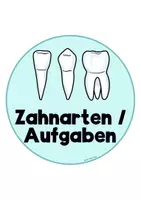 Vorschau - Stationenlernen - Unsere Zähne - Tafelmaterial und Zusatzmaterial - Seite 3