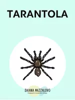 anteprima - Giochi - Tessere - animali - Daiana Mazzalovo - Pagina 2