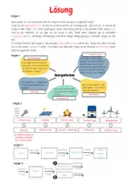 Vorschau - Arbeitsblätter - Energie Energieformen Energieübertragungskette mit Lösung - Seite 3