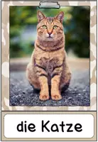 Vorschau - Merkblätter - Haustiere: Die Katze (Infokartei & Fotosammlung) - Seite 1