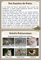 Vorschau - Merkblätter - Haustiere: Die Katze (Infokartei & Fotosammlung) - Seite 3