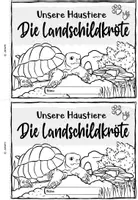 Vorschau - Arbeitsblätter - Haustiere: Die Landschildkröte (Miniheft) - Seite 3