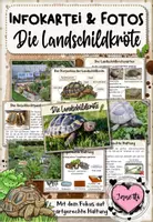 Vorschau - Merkblätter - Haustiere: Die Landschildkröte (Infokartei & Fotosammlung) - Deckblatt