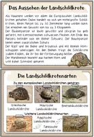 Vorschau - Merkblätter - Haustiere: Die Landschildkröte (Infokartei & Fotosammlung) - Seite 3