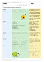 Vorschau - Merkblätter - Merkblatt: Wortarten im Überblick (mit Strategien) | Übersicht - Seite 1