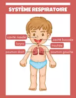 Aperçu - Préparation de séance / Séance complète - Système respiratoire +8 fiches d'activités - Page 1