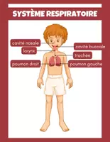 Aperçu - Préparation de séance / Séance complète - Système respiratoire +8 fiches d'activités - Page de couverture