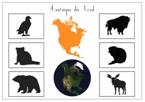 Aperçu - Apprentissages en autonomie - Animaux du monde - Page de couverture