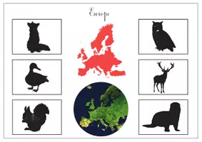 Aperçu - Apprentissages en autonomie - Animaux du monde - Page 1