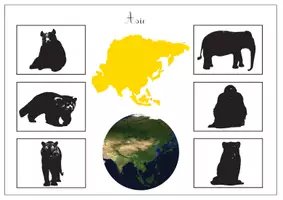 Aperçu - Apprentissages en autonomie - Animaux du monde - Page 3