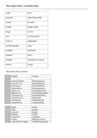 Vorschau - Arbeitsblätter - Body Systems Bio Bilingual - Seite 2