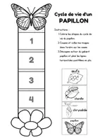 Aperçu - Préparation de séance / Séance complète - Cycles de vie Sciences +4 fiches d'activités - Page 3