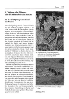 Vorschau - Unterrichtsreihen - Getreide - Seite 2
