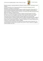anteprima - Schede informative - Relazione di laboratorio sul fenomeno ottico della dispersione della luce - A028 - Pagina 3